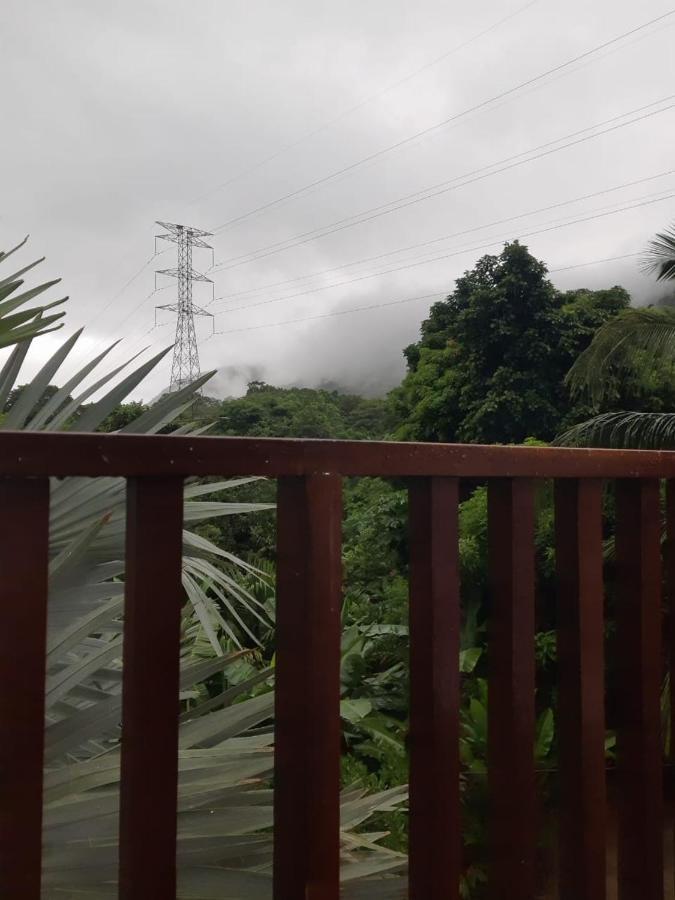 Deep Forest Posadas Ecoturisticas El Zaino Ngoại thất bức ảnh