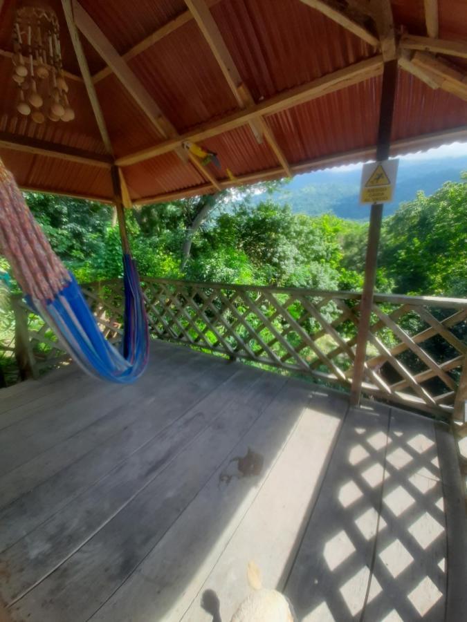 Deep Forest Posadas Ecoturisticas El Zaino Ngoại thất bức ảnh