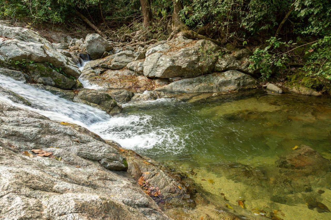 Deep Forest Posadas Ecoturisticas El Zaino Ngoại thất bức ảnh