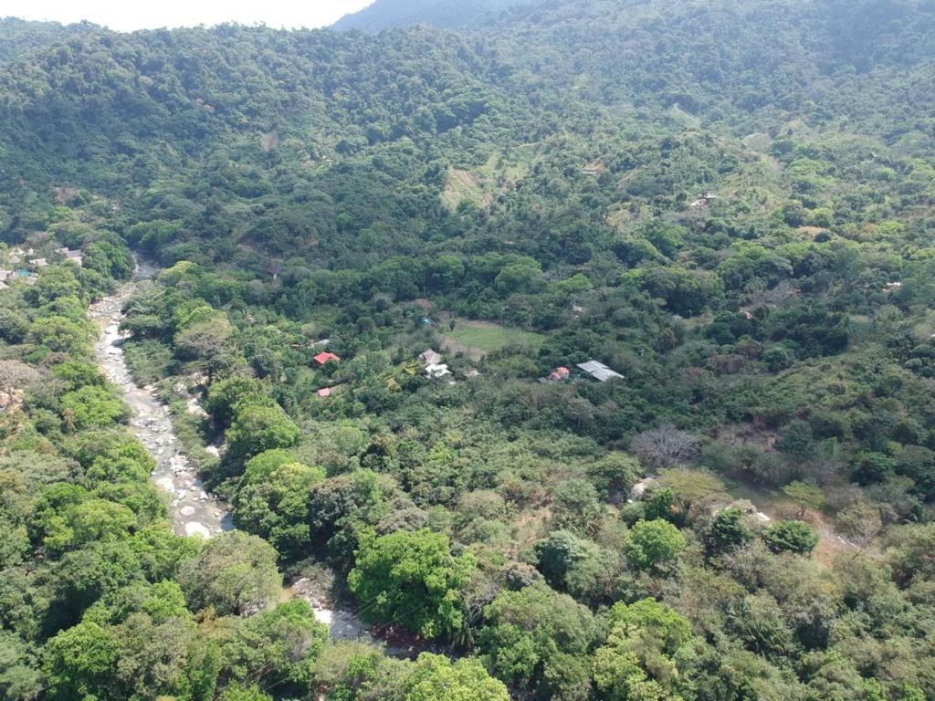 Deep Forest Posadas Ecoturisticas El Zaino Ngoại thất bức ảnh