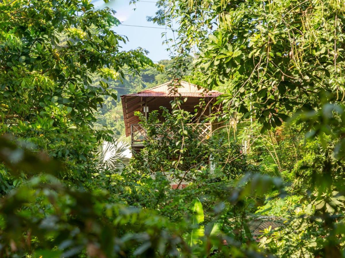 Deep Forest Posadas Ecoturisticas El Zaino Ngoại thất bức ảnh