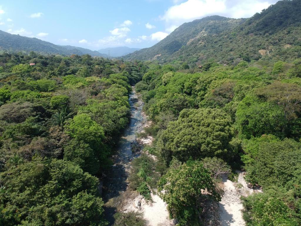 Deep Forest Posadas Ecoturisticas El Zaino Ngoại thất bức ảnh
