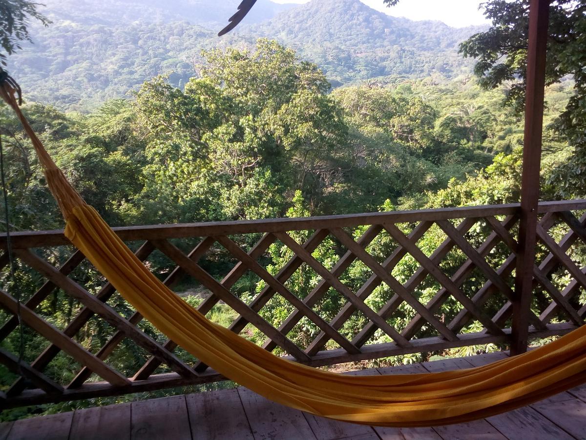 Deep Forest Posadas Ecoturisticas El Zaino Ngoại thất bức ảnh