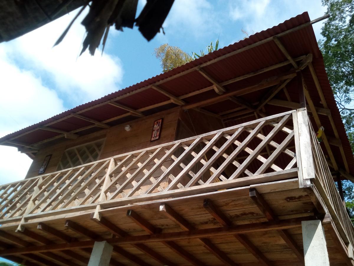 Deep Forest Posadas Ecoturisticas El Zaino Ngoại thất bức ảnh