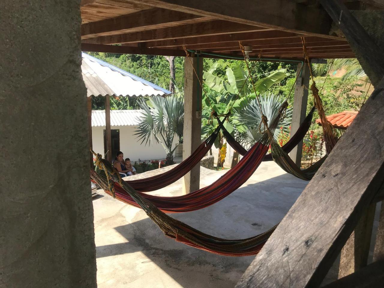 Deep Forest Posadas Ecoturisticas El Zaino Ngoại thất bức ảnh