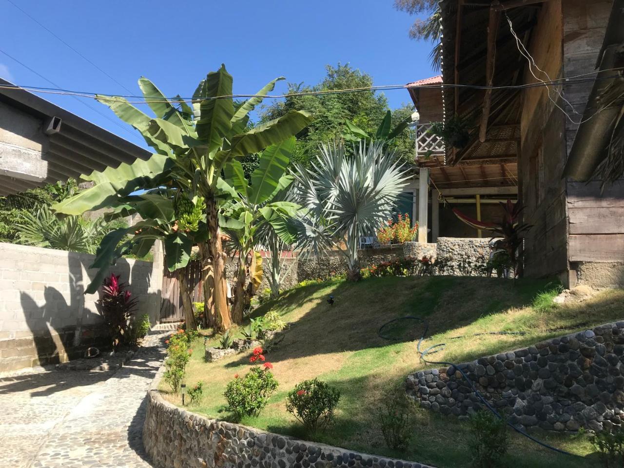 Deep Forest Posadas Ecoturisticas El Zaino Ngoại thất bức ảnh