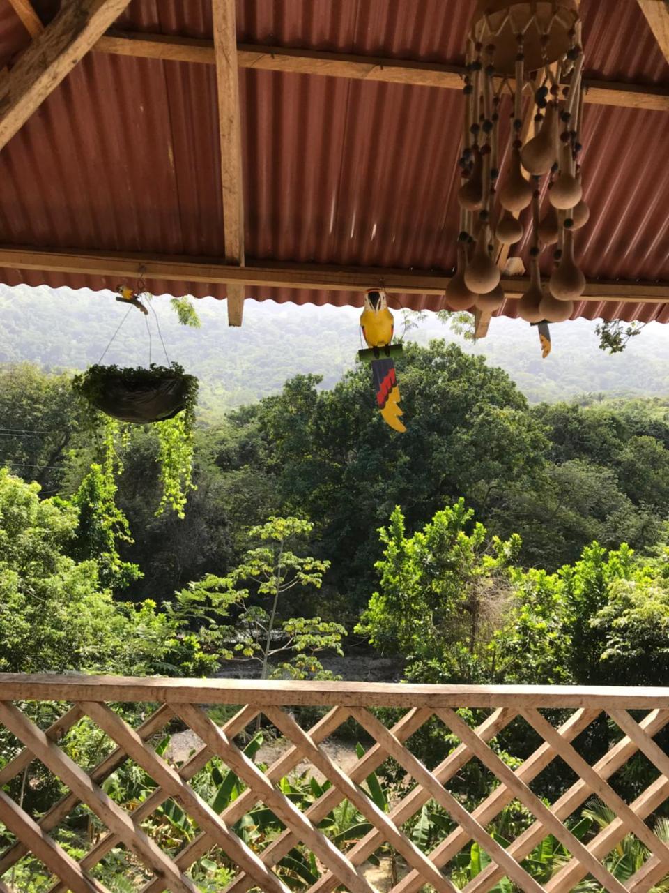 Deep Forest Posadas Ecoturisticas El Zaino Ngoại thất bức ảnh