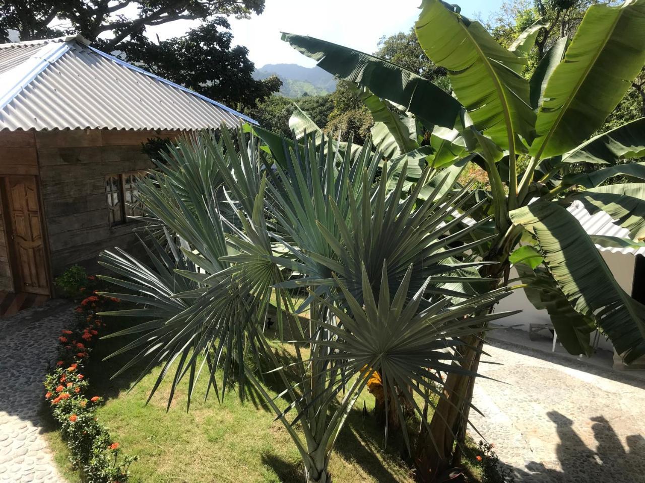 Deep Forest Posadas Ecoturisticas El Zaino Ngoại thất bức ảnh