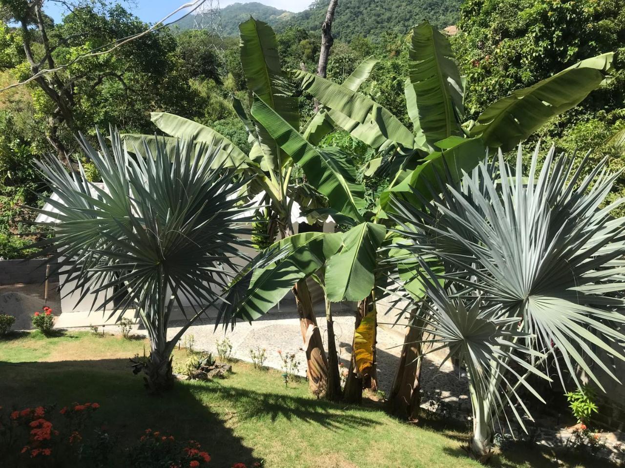 Deep Forest Posadas Ecoturisticas El Zaino Ngoại thất bức ảnh