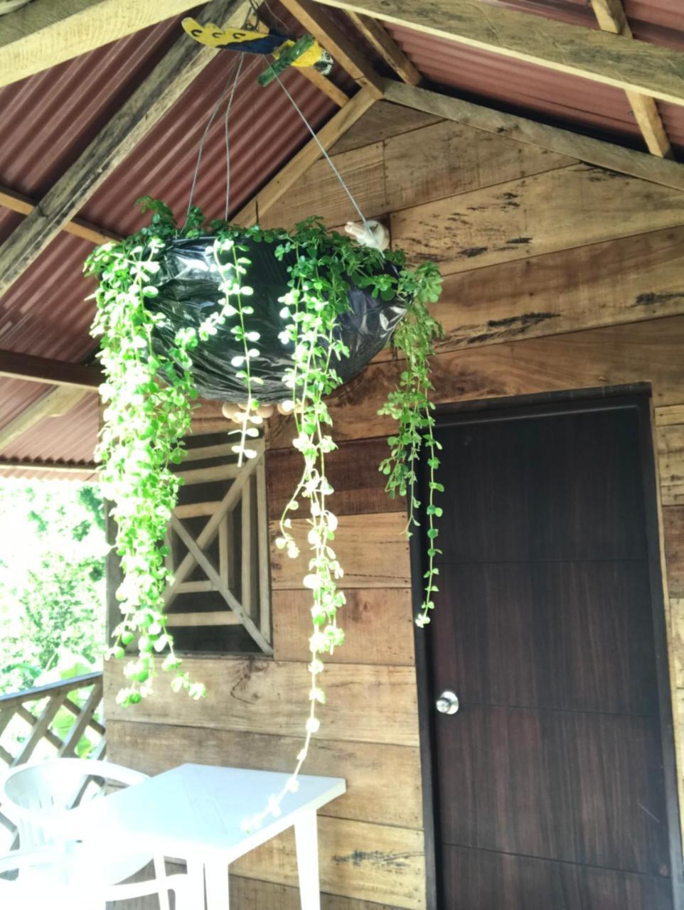 Deep Forest Posadas Ecoturisticas El Zaino Ngoại thất bức ảnh